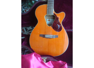 Gretsch Rancher junior 5012