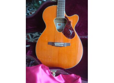 Gretsch Rancher junior 5012