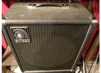Ampeg B-80n