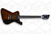 Wild Customs Firewild Standard Premium