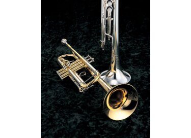 Yamaha YTR-850 Limited Edition