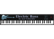 Axel Schneider Electric Bass