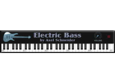 Axel Schneider Electric Bass