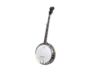 Deering Maple Blossom 5-String Banjo