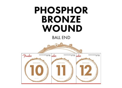 Fender Phosphor Bronze Acoustic Guitar