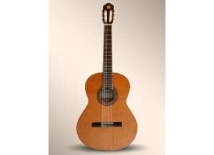 Alhambra Guitars 1C E1