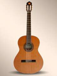 Alhambra Guitars 1 C E1
