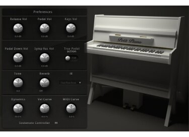 AcousticSamples Petit Piano
