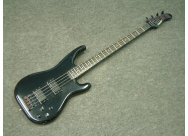 Fernandes FRB 120