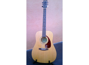 Simon & Patrick SP6 Cedar