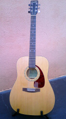 Simon & Patrick SP6 Cedar