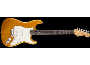 Fender Custom Shop 2013 Custom Deluxe Stratocaster Rosewood