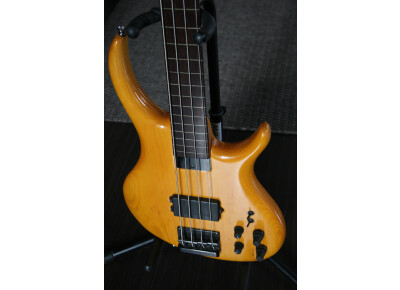 Tobias Michael Tobias fretless