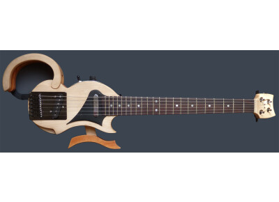 Sébastien Gavet- SG Lutherie Tour Bus SG6V5