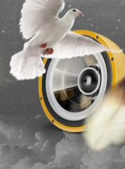 8DIO fait de nouveau appel au public