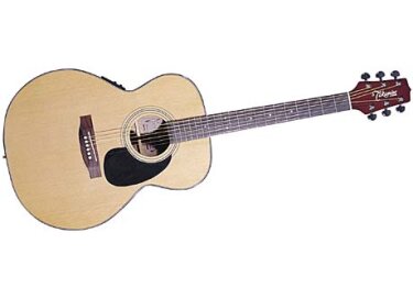 Takamine EG230