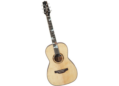 Takamine LTD2013 SE Peak