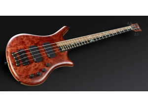 Warwick Thumb Bolt-On LTD 2013