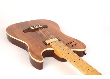 Godin 40th Anniversary Acousticaster