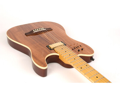 Godin 40th Anniversary Acousticaster