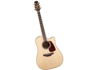 Takamine P4DC