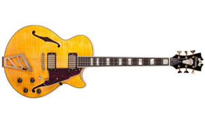 D'angelico Excel SS (2013)
