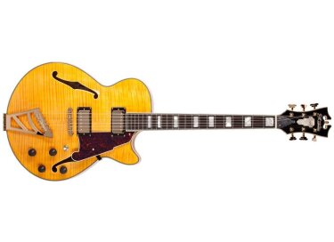 D'angelico Excel SS (2013)