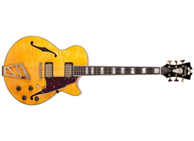 D'angelico Excel SS (2013)