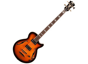 D'angelico EX-Bass