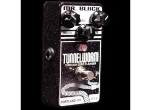 Mr. Black Tunnelworm
