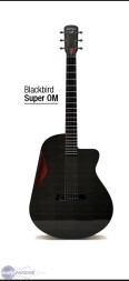 [NAMM] Blackbird Guitars: allez l'OM?