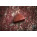 See the photo of the Hufschmid Guitars UHMWPE Attack Drop Plectrum Hufschmid Guitars UHMWPE Attack Drop Plectrum