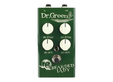 Ashdown Bearded Lady