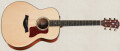 New Taylor Road Show dates in the USA and Europe