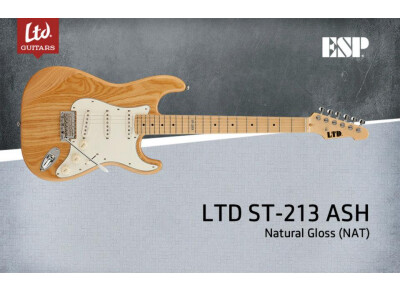 LTD ST-213 Ash / Maple