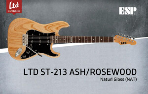 LTD ST-213 Ash / Rosewood