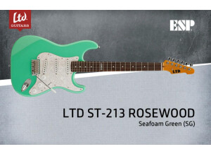 LTD ST-213 Rosewood