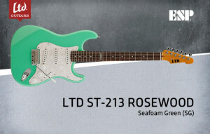 LTD ST-213 Rosewood