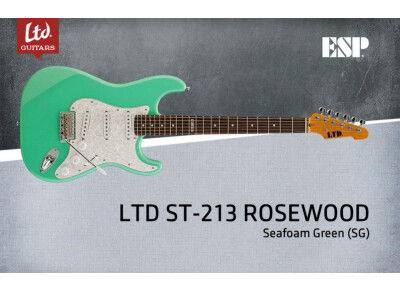 LTD ST-213 Rosewood