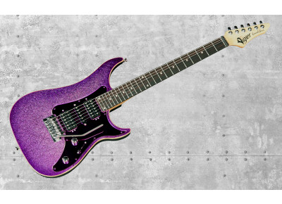 Vigier Excalibur Special 2013 Limited Edition
