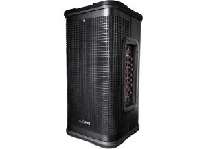 Line 6 StageSource L2t