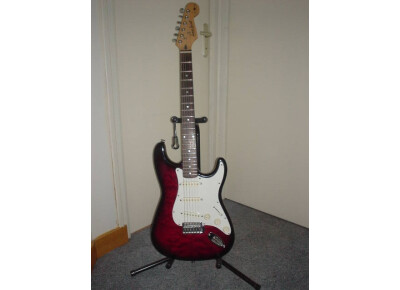 James Spirit Stratocaster