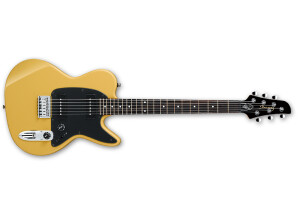 Ibanez NDM3 Noodles Signature