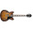 See the photo of the Ibanez AS73 Ibanez AS73