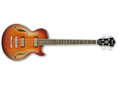 Ibanez AGB200