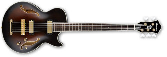 Ibanez AGB205