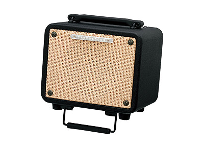 Ibanez Troubadour T15