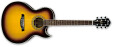 Ibanez Joe Satriani Signature Acoustic