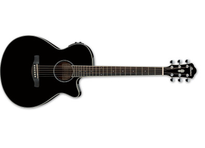 Ibanez AEG10II