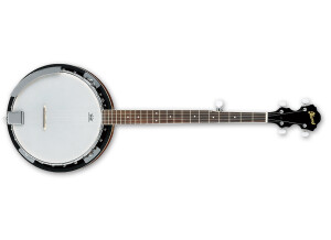 Ibanez B50